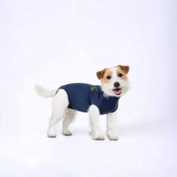 Medical Pet Shirt // Beskyttende heldragt til hunde (blå) - XS