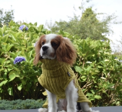 Rukka Pets - x LUHTA HOME Aalto Pet Badekåbe / Farve Apple