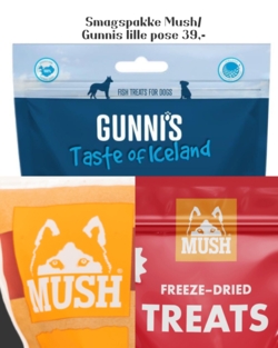 Lille smagspose med Mush Treats, Mush Vainu og Gunni's