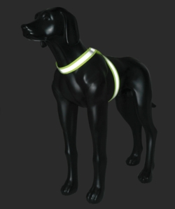 Rukka Pets Note Body Band