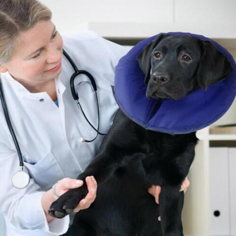 FioniaVet - Oppustelig Krave, Nylon, M