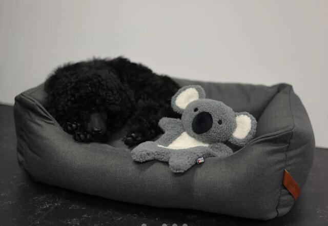 Rukka - Pets Calm Koala Toy