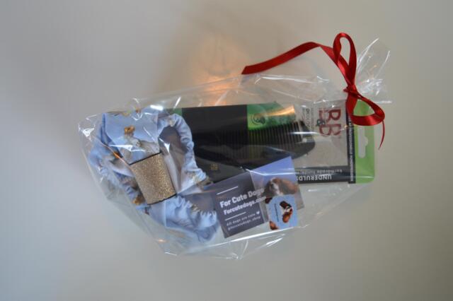 ForCuteDogs - Lille Cavalier Hvalpepakke