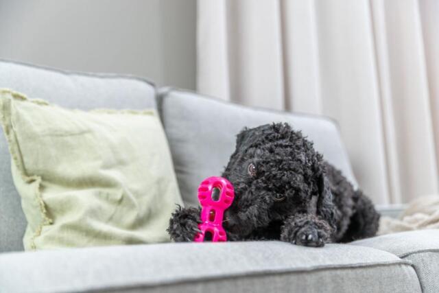 Trixie - Soft & Strong håndvægt, 11 cm