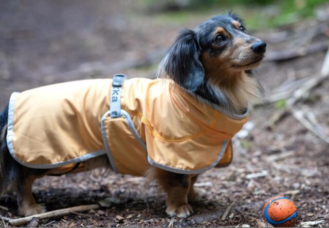 Rukka Pets - Crisp Cooling UV Jacket