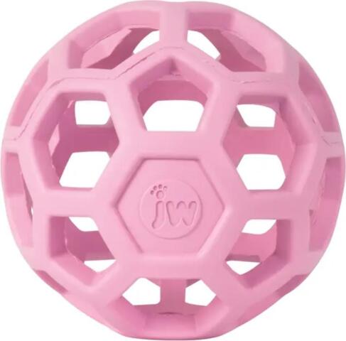JW - Hol-ee roller trend-ee bold pink small