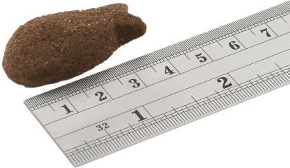 F4D - Digestion White Fish Bits, 225 g