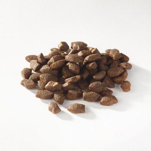 F4D - Puppy Joint Health Salmon Morsels, 150