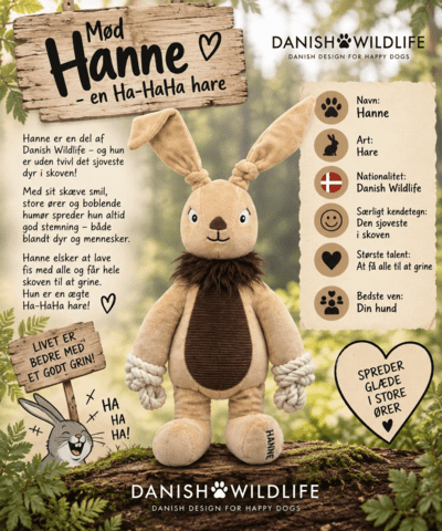 B&B - Danish Wildlife Hare (Hanne)