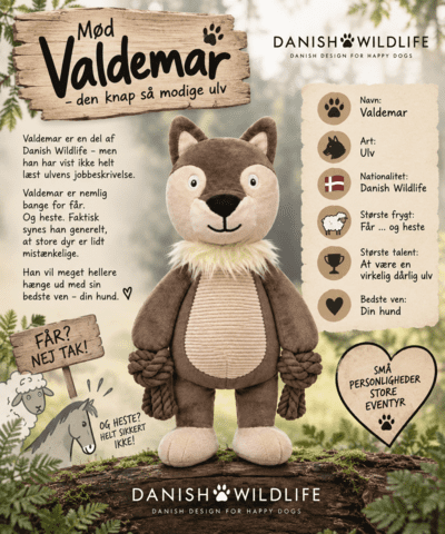B&B - Danish Wildlife Ulv (Valdemar)