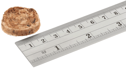 F4D - Squid Bites, 80g