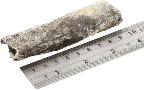 F4D - Jerky Fish Strips, 100 g