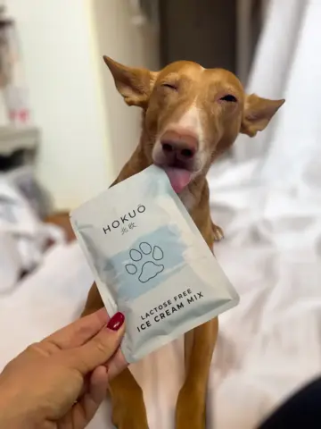 HOKUŌ™ PAW-SICLE KIT - Moose