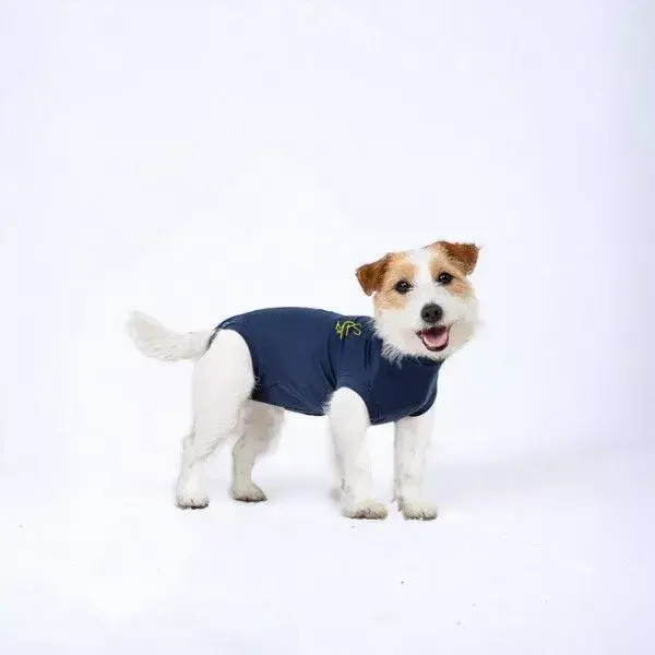 Medical Pet Shirt // Beskyttende heldragt til hunde (blå) - XS