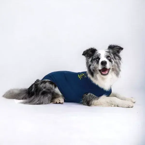 Medical Pet Shirt // Beskyttende heldragt til hunde (blå) - XS