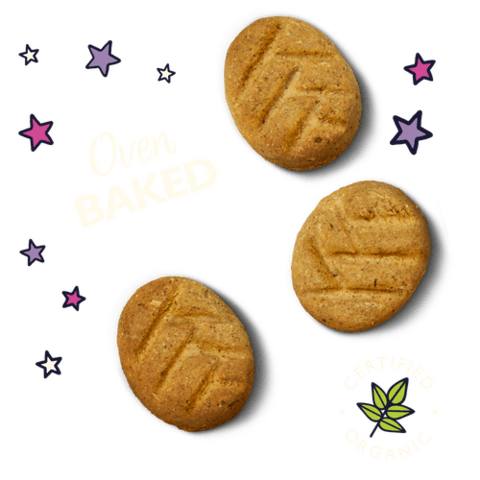 LILY'S KITCHEN -  Bedtime Biscuits for Dogs 80 g