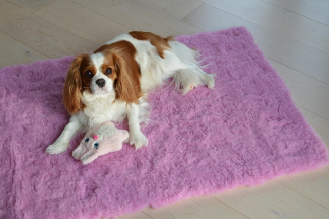 Vetbed - Original rosa