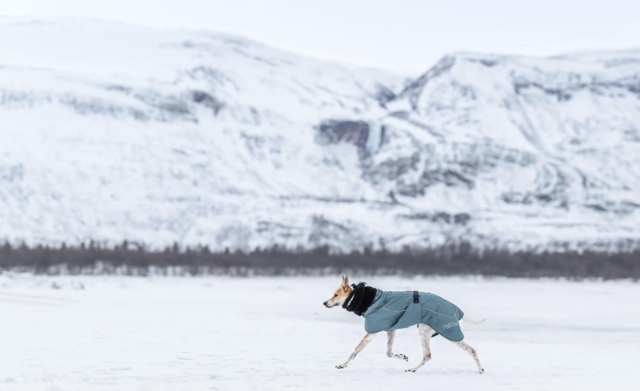 Rukka Pets - Plush Tube Scarf