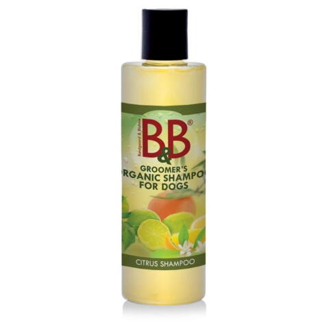 B&B Økologisk Citrus Shampoo