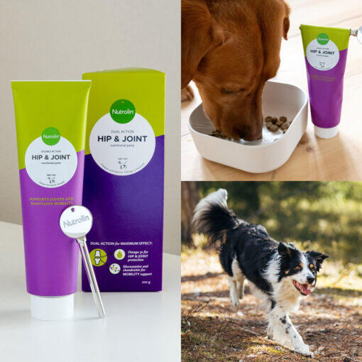 Nutrolin - Hip & Joint paste / 3 pkk