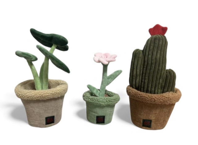 B&B - Pawtanic Garden Plante