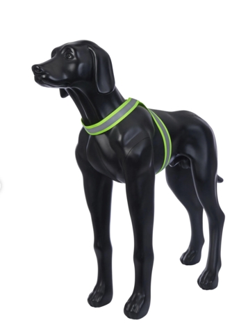 Rukka Pets Note Body Band