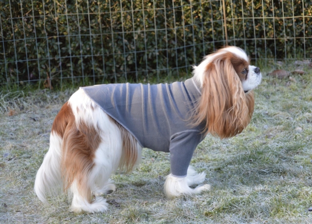 GF Pet - Gondola base lag, Charcoal