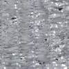 Dogman Silver Cloth Shadow Silver 4 m * 4 m