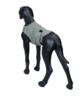 Rukka Pets - Zen calming vest