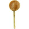 COMPANION LOLLIPOP KYLLING