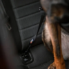 Rukka Pets - Car Seatbelt Clip - ISOFIX line