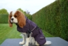 Rukka Pets - Trust Foil Coat