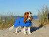 Rukka Pets - Discovery 3In1 Coat