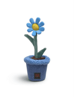 B&B - Pawtanic Garden Daisy