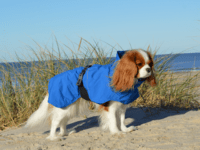 Rukka Pets - Discovery 3In1 Coat
