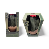 B&B - Pawtanic Garden kaktus